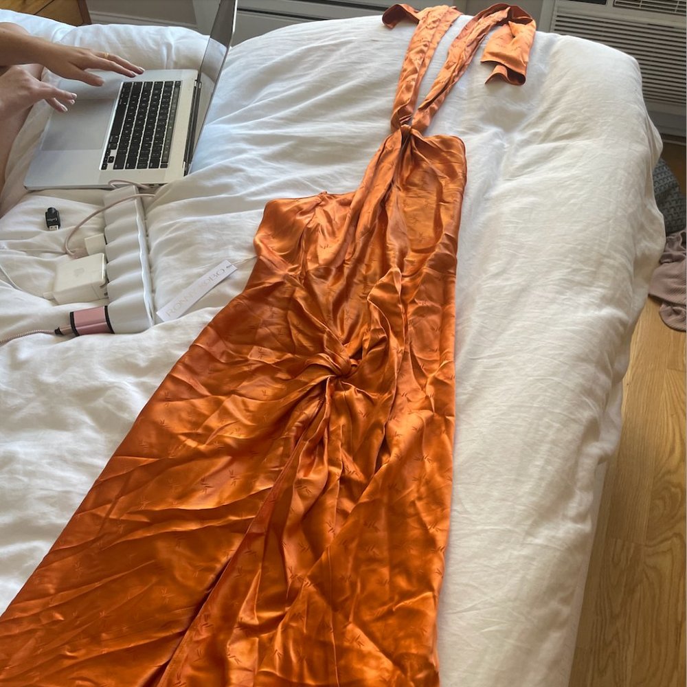 Ronny Kobo Samra Dress